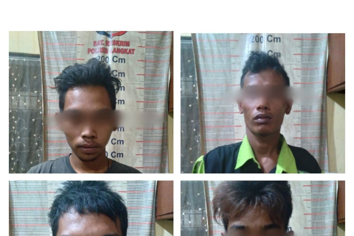 Empat warga pencuri TBS ditangkap Polsek Tanjung Pura