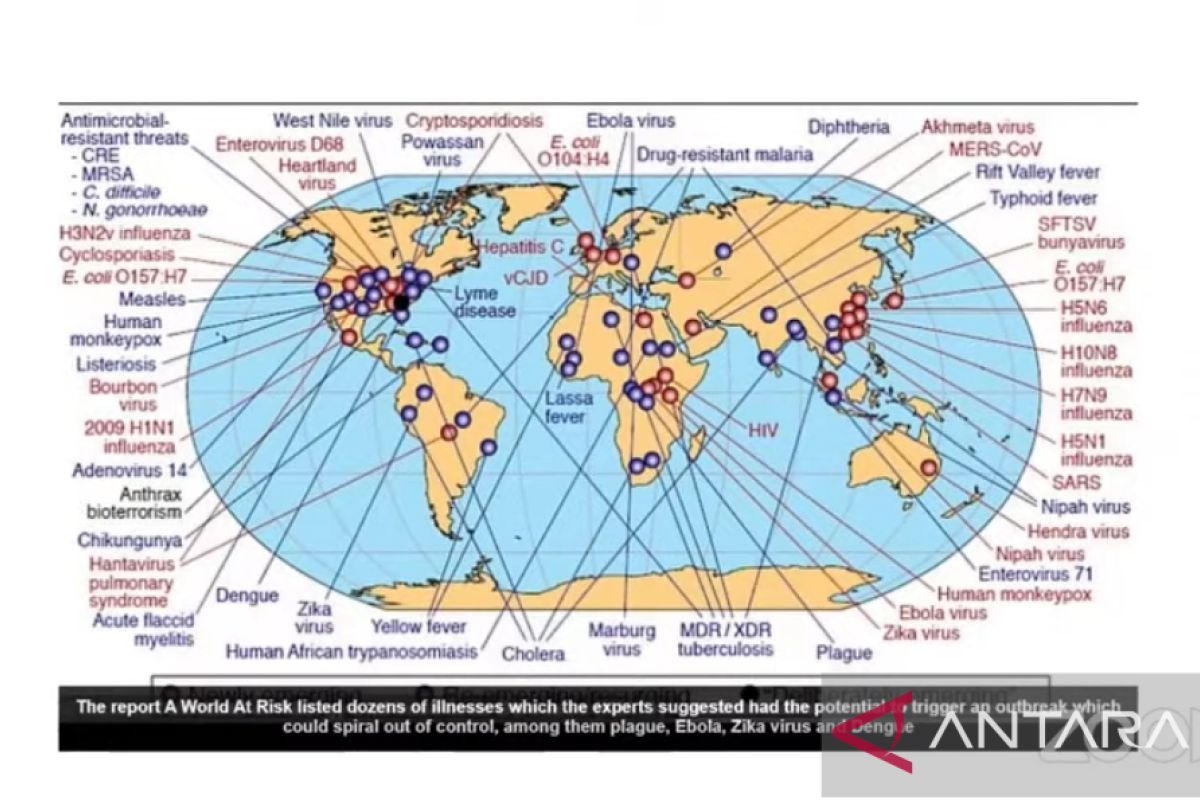 Expert urges G20 to take measures against animal-borne diseases