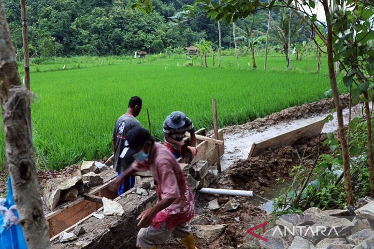 Program padat karya hingga penerapan pajak karbon