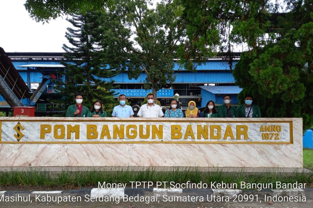 Kementan dukung mahasiswa Polbangtan magang di perkebunan sawit swasta