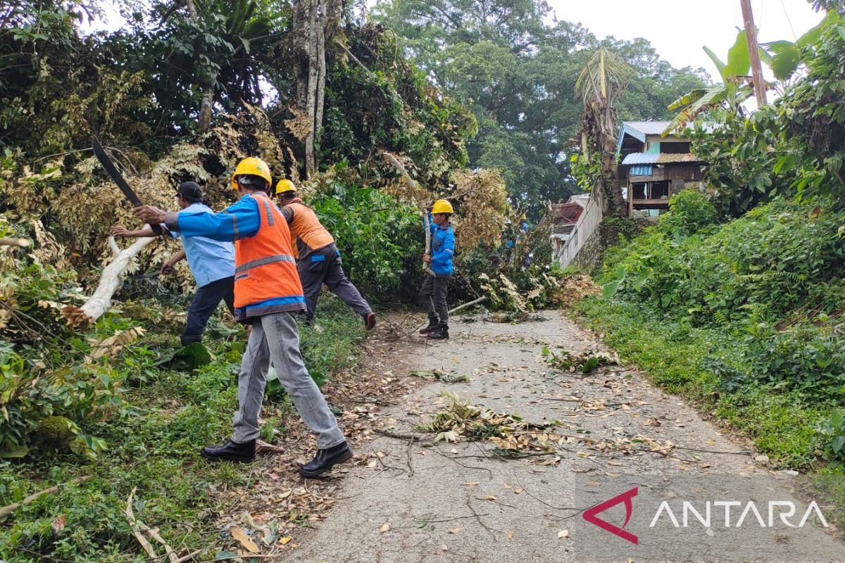 Perangkat nagari dukung ULP Solok lakukan pembersihan jaringan