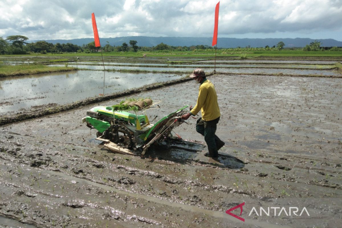 Peneliti: Biaya pertanian Indonesia lebih mahal dari negara lain