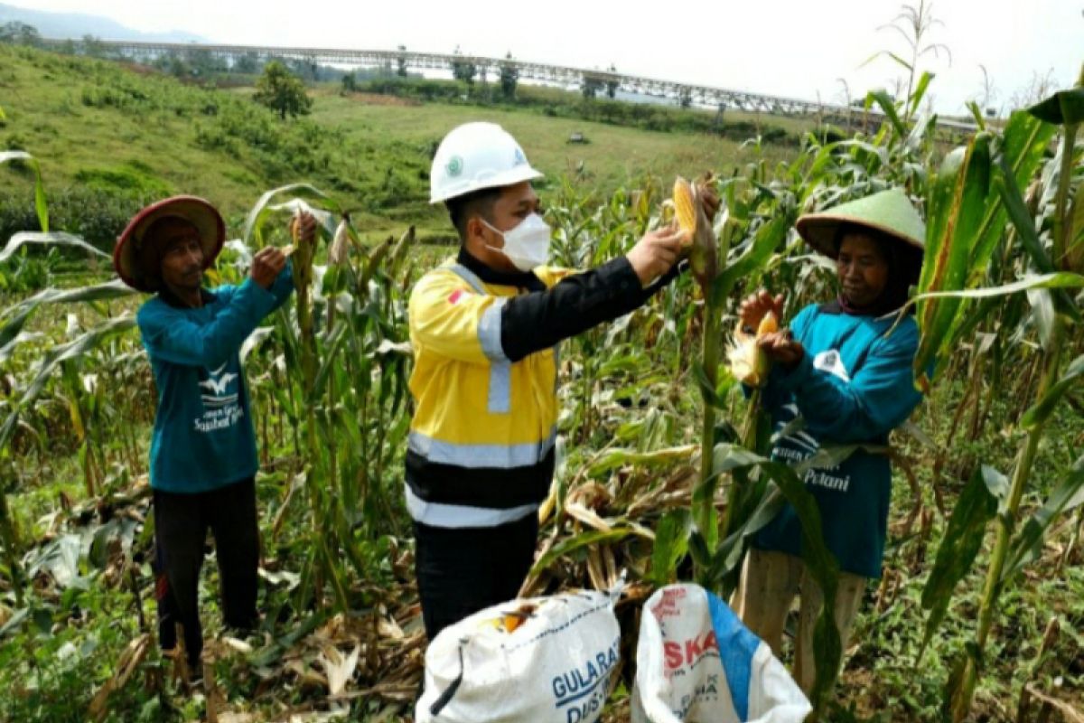 Semen Gresik dan petani panen buah di area Pabrik Rembang