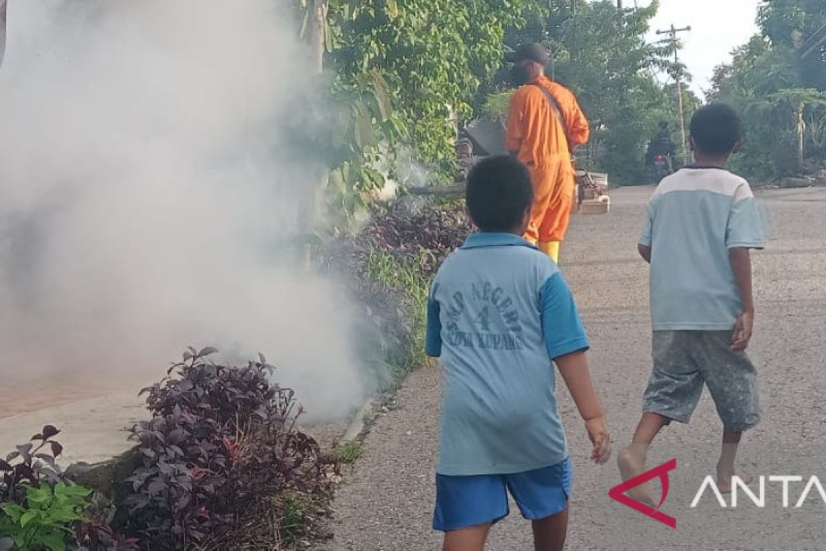 Pemkot Kupang dorong warga bersihkan lingkungan cegah DBD
