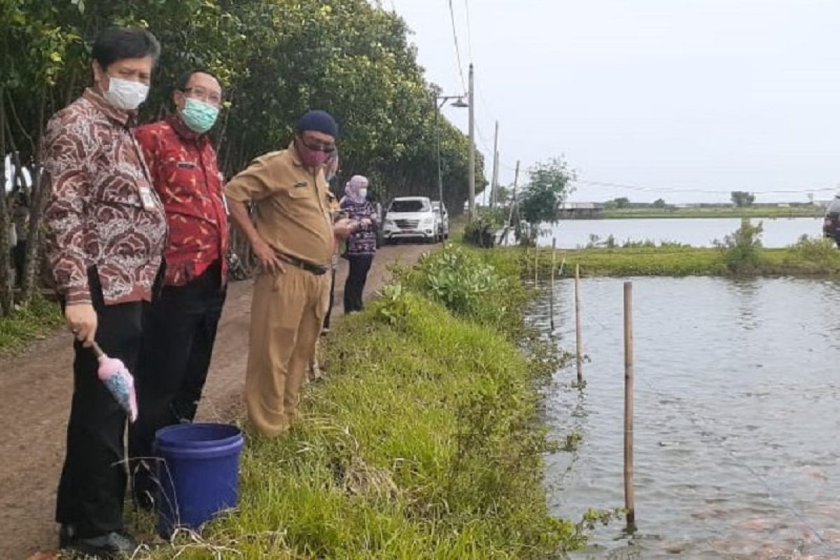 Tiga kecamatan di Pati jadi sentra budidaya nila salin