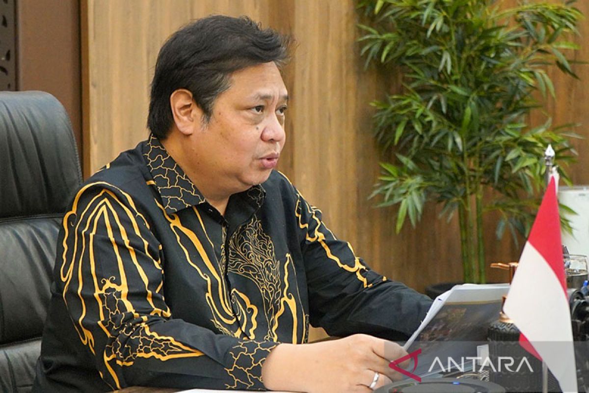 Indonesia to defend developing nations' interests at G20: Airlangga Hartarto