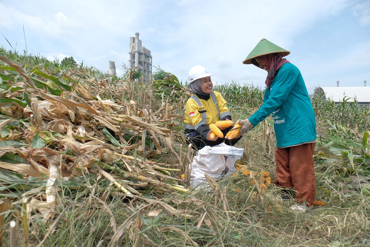 Semen Gresik fasilitasi 361 petani sanggem garap lahannya di Rembang
