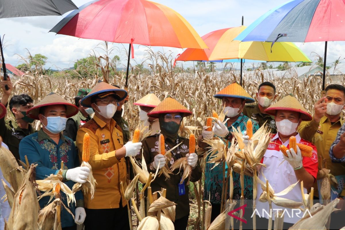 Lapas Perempuan Gorontalo dukung ketahanan pangan nasional