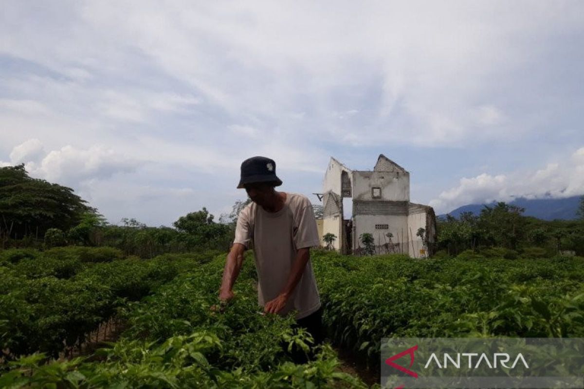 Pemkab Sigi  dorong petani pelajari informasi cuaca-iklim dari BMKG