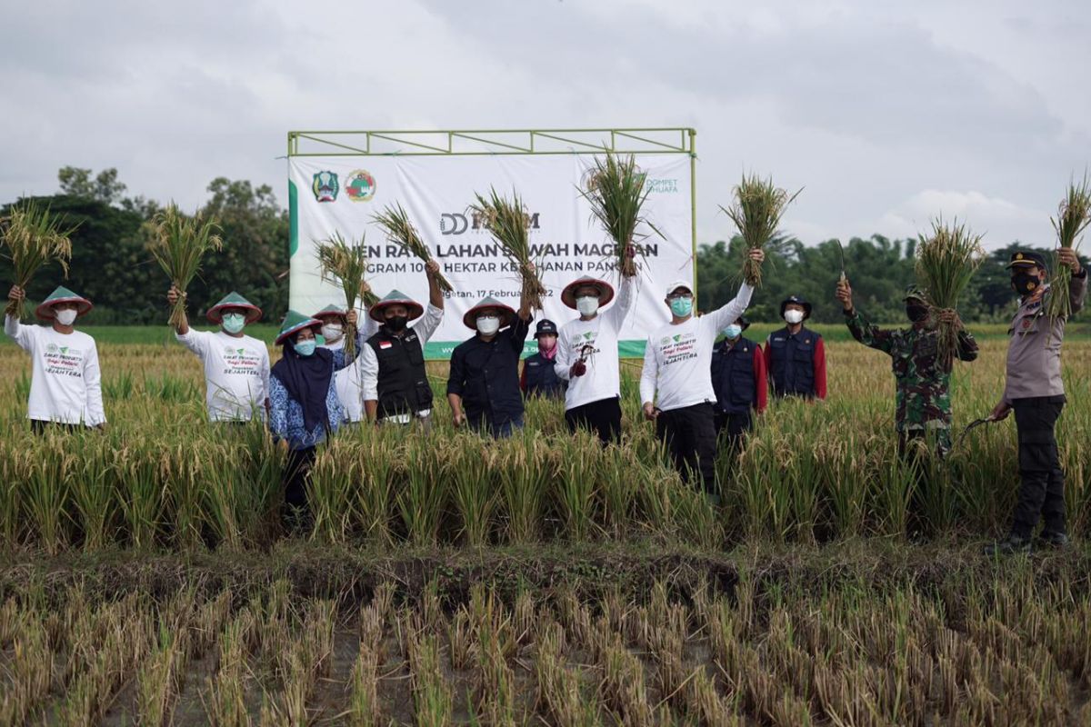 Panen raya Dompet Dhuafa-Gapoktan Sejahtera, ajak anak muda kembangkan potensi pertanian di Magetan