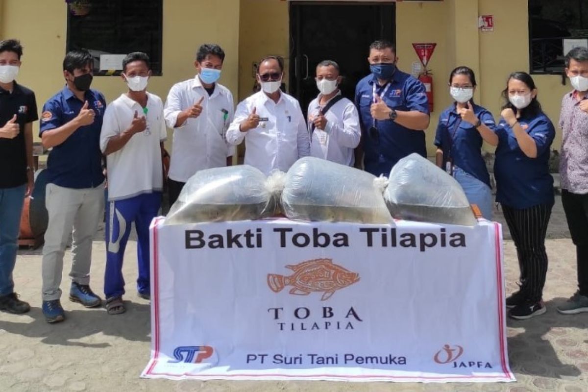 STP distribusikan 4.000 induk Ikan Tilapia ke 28 UPR