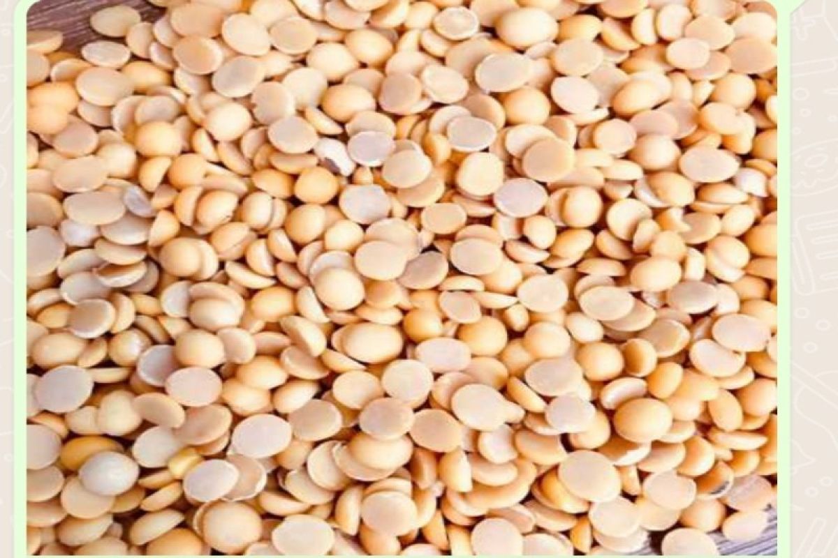 Produksi kacang kedelai Sumut pada  2022 sebanyak 4.145 ton