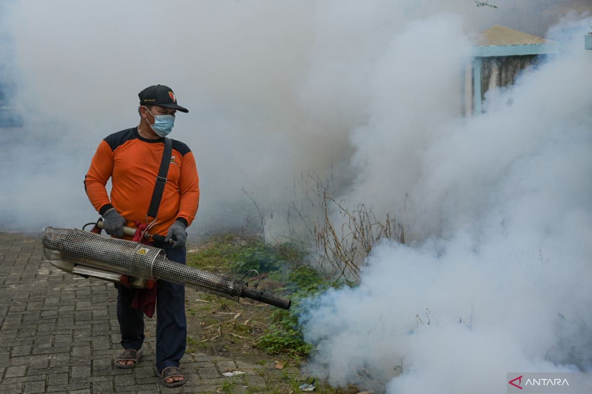 Pemprov tingkatkan pembertansan  nyamuk di Nias Selatan cegah DBD