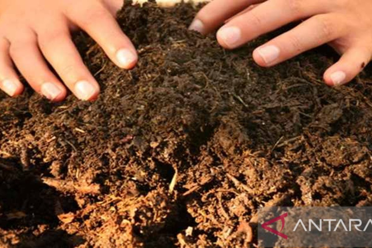 Produksi pupuk kompos di Kabupaten Bangka Tengah capai 12.700 ton