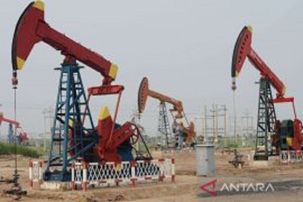 Harga minyak merosot di Asia karena prospek pelonggaran sanksi minyak Iran