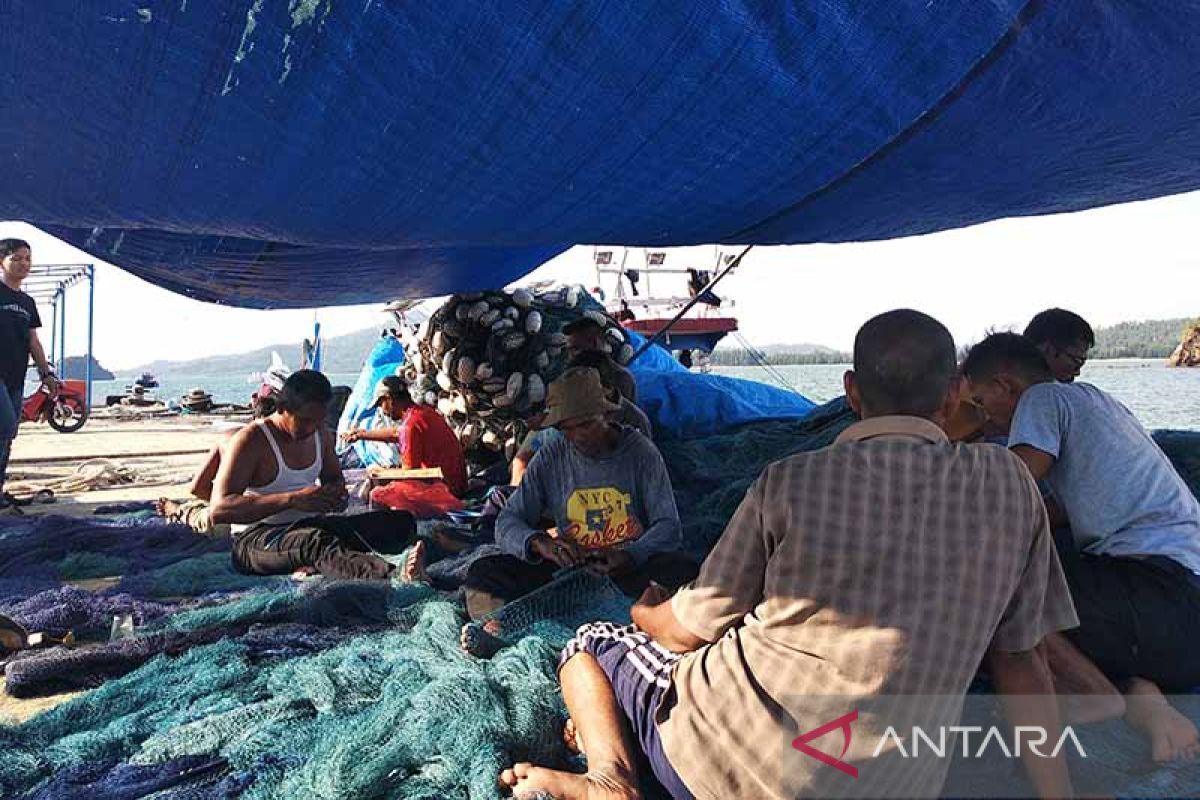 Cuaca ekstrem, ikan tangkapan nelayan Aceh Jaya menurun