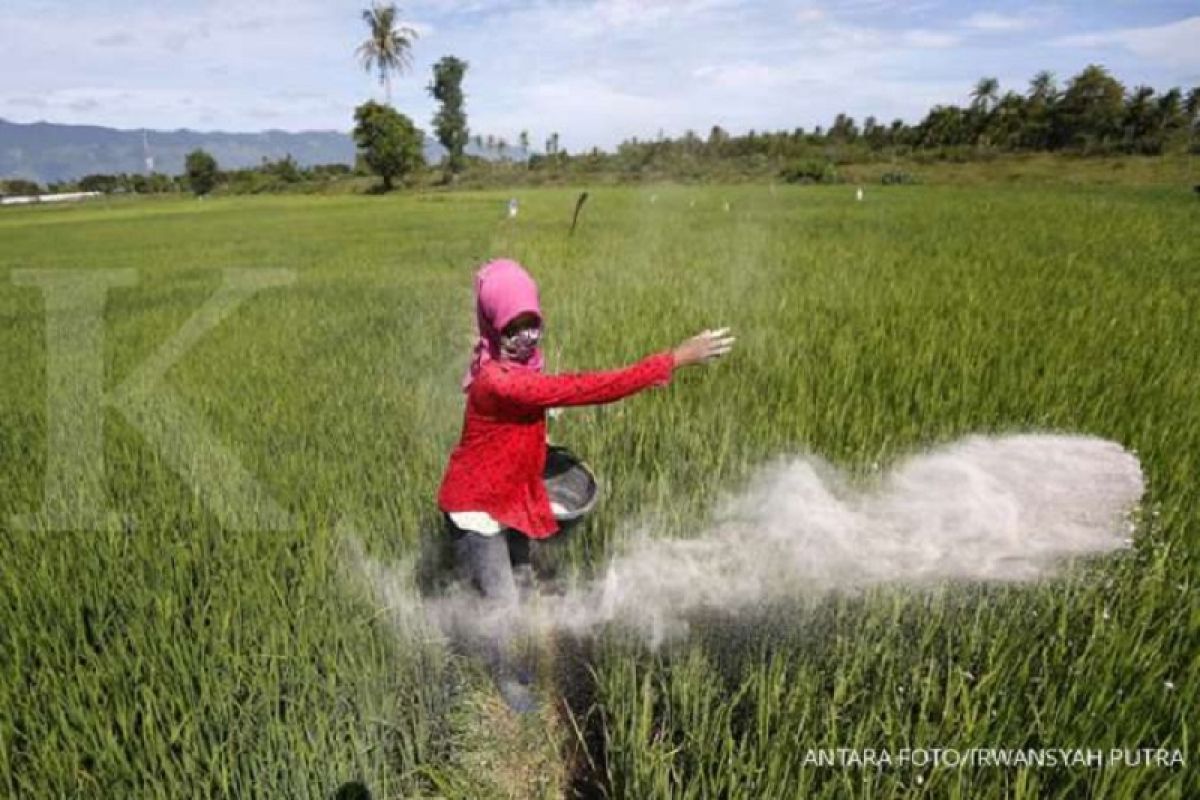 Legislator: Pengawasan distribusi pupuk subsidi harus diperketat di tingkat bawah