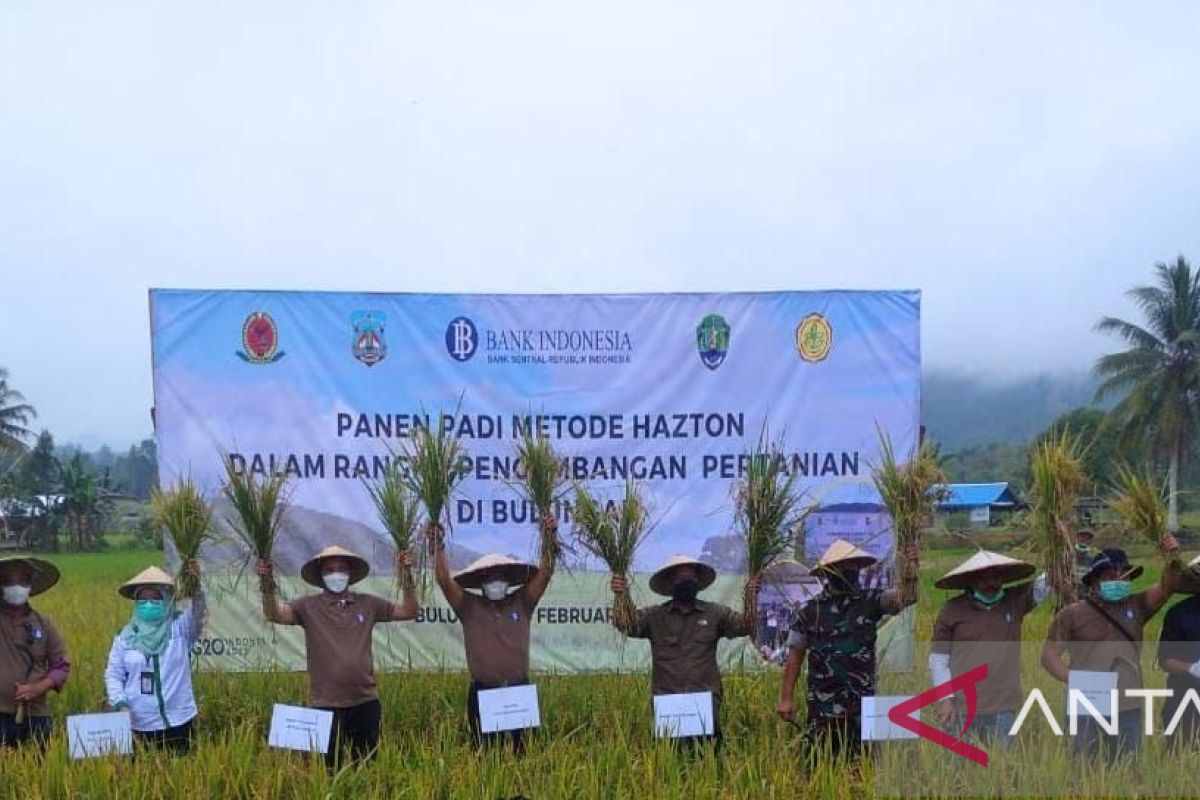 BI Bersama Pemkab Bulungan Panen Padi Perdana Metode Hazton