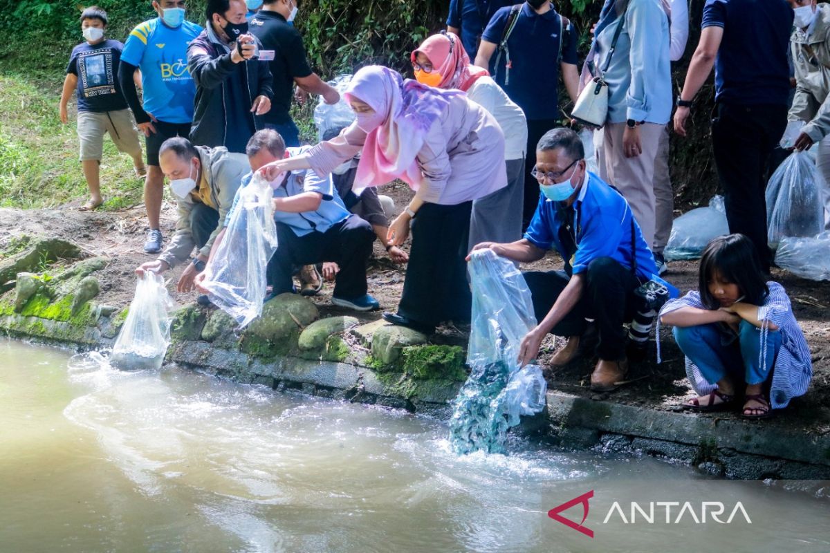 Pemprov-PWI NTB tebar ratusan ribu benih ikan untuk kelestarian lingkungan