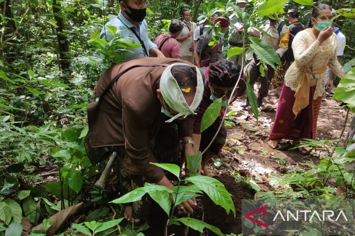 Masyarakat Desa Lemukih-Bali gencarkan penanaman pohon sesuai tema G20