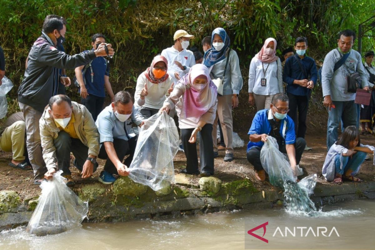 Wagub NTB bersama wartawan menebar 100 ribu benih ikan