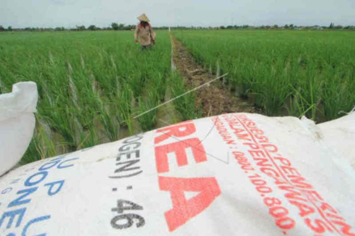 Pupuk Indonesia telah salurkan 84 persen pupuk subsidi di Jabar-Banten