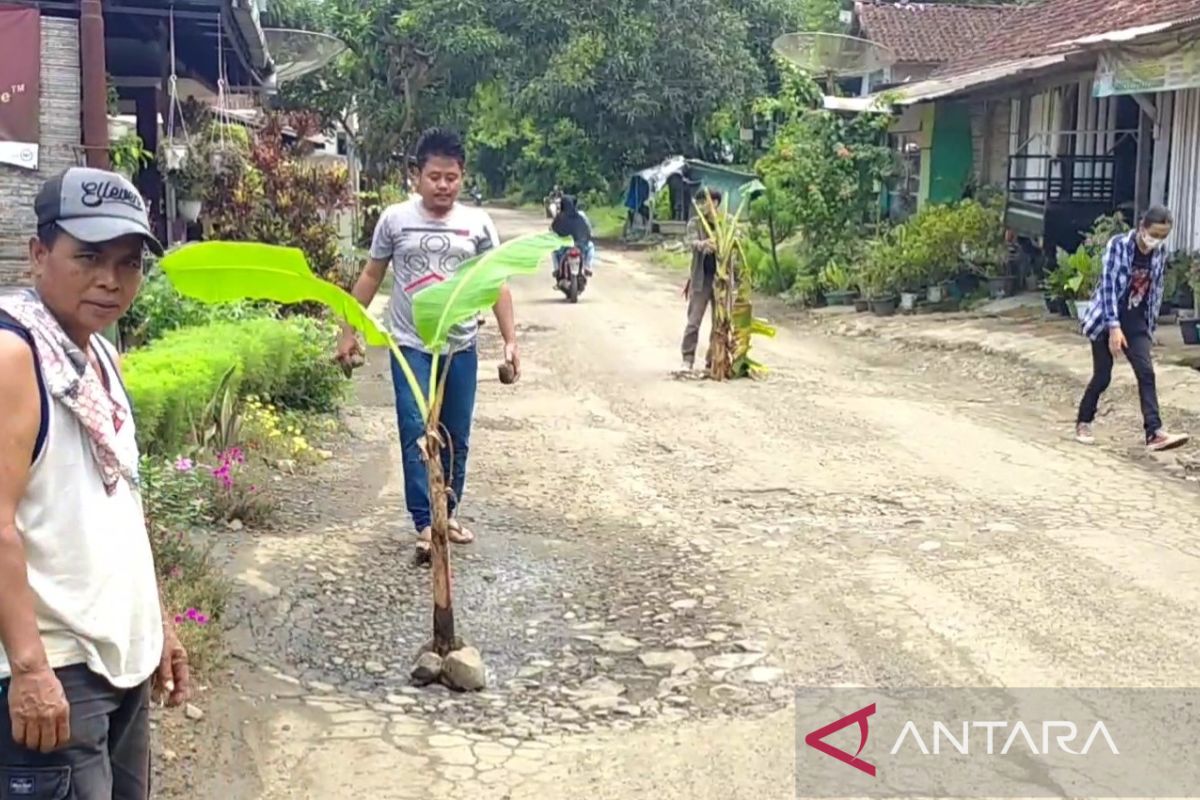 Setelah ditanami pisang, Pemprov perbaiki jalan provinsi di Cianjur