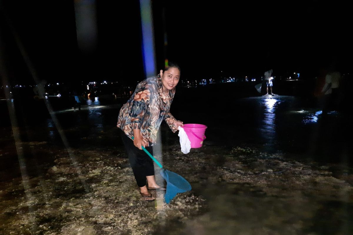 Bau nyale, warga berburu cacing laut di Pantai Seger Mandalika