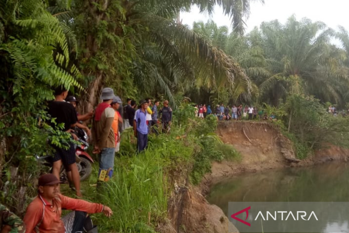 Seorang warga Mukomuko Bengkulu tewas dimangsa buaya