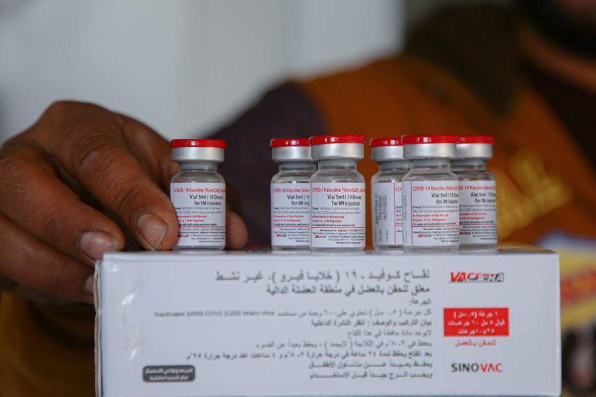 Gaza terima 500.000 dosis vaksin COVID-19 Vacsera-Sinovac