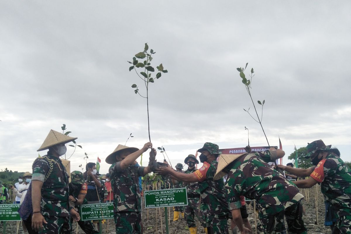 TNI menanam mangrove di KEK Mandalika Lombok