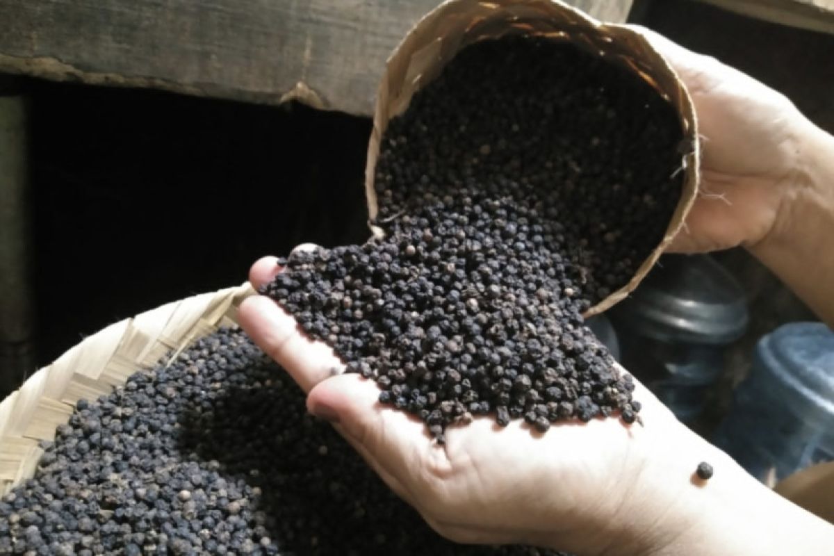 Black pepper exports increase as economy recovers: IEB Institute
