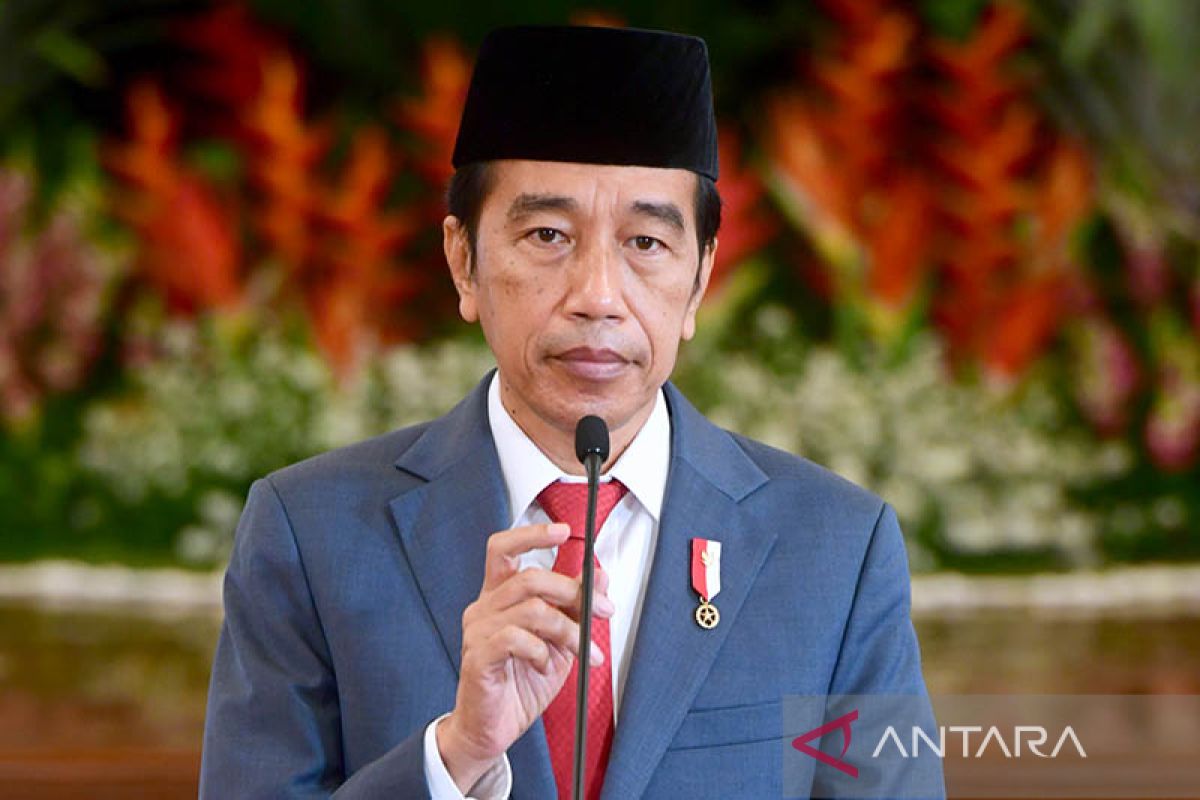 Jokowi isyaratkan calon kepala otorita IKN dari kalangan nonpartai