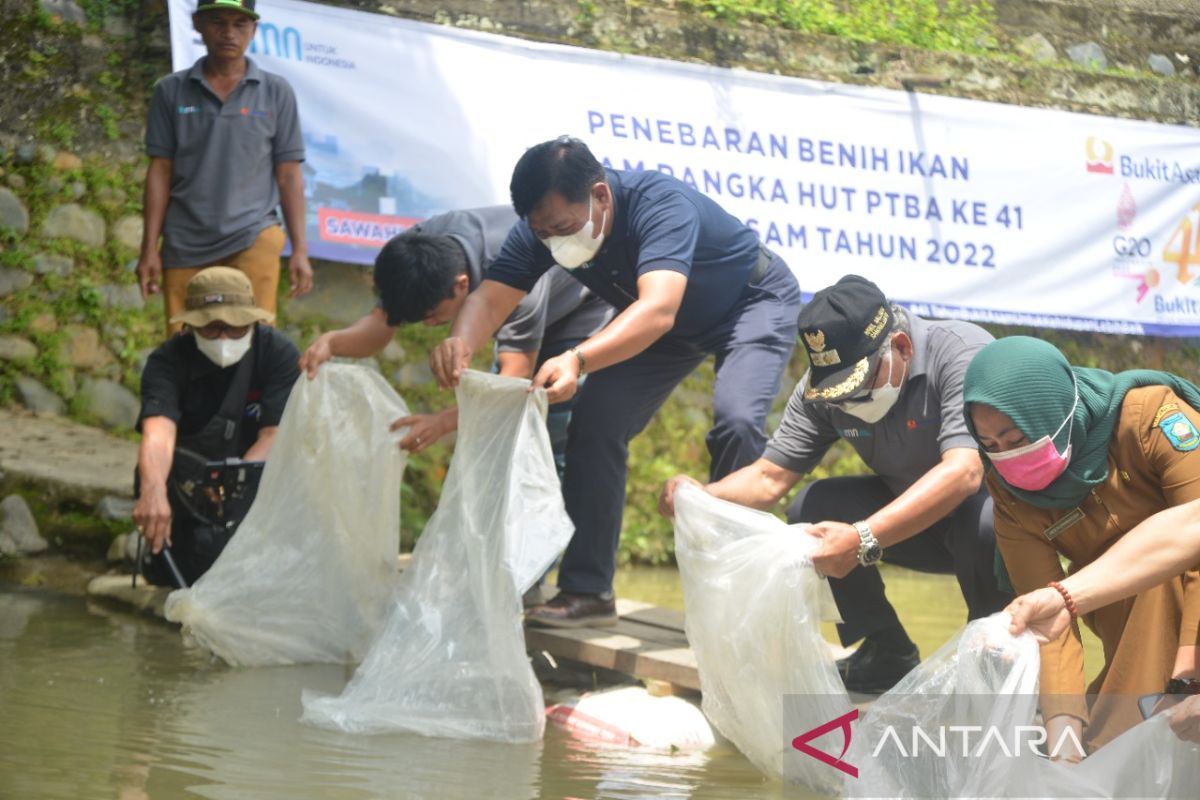 PTBA salurkan bantuan 45 ribu ekor bibit ikan untuk masyarakat di Sawahlunto