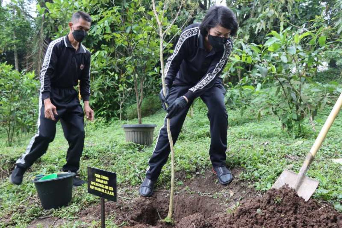 Polres Magelang Kota menanam pohon langka di puncak Gunung Tidar