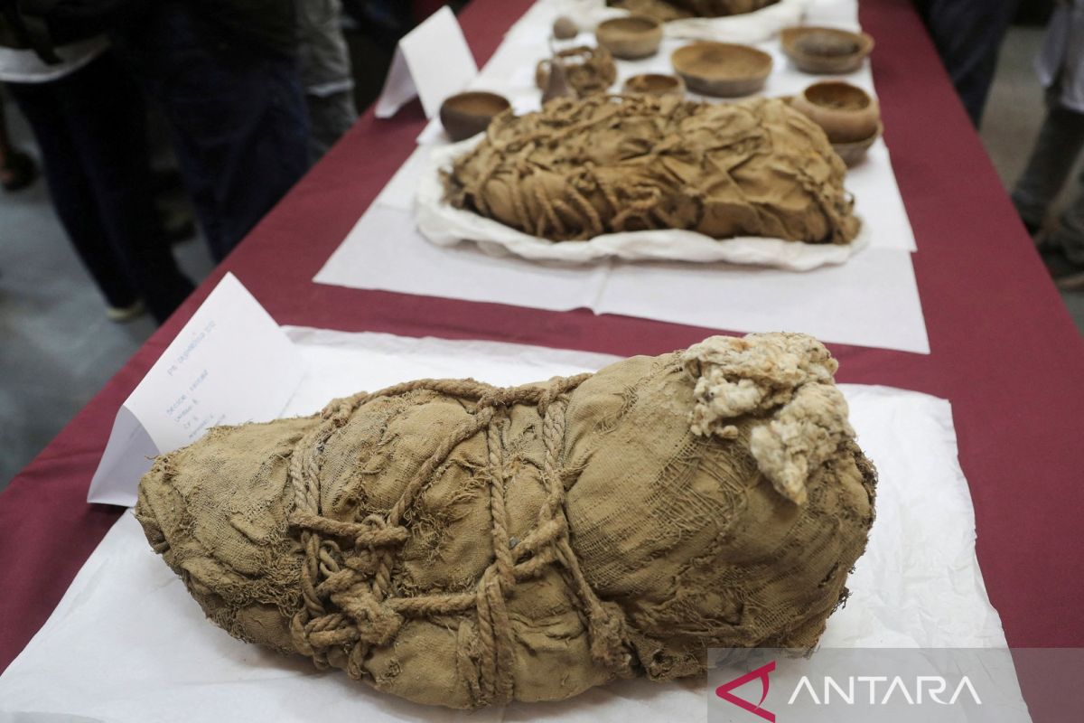 Makam kuno yang berasal dari era Inca ditemukan di bawah tanah sebuah rumah