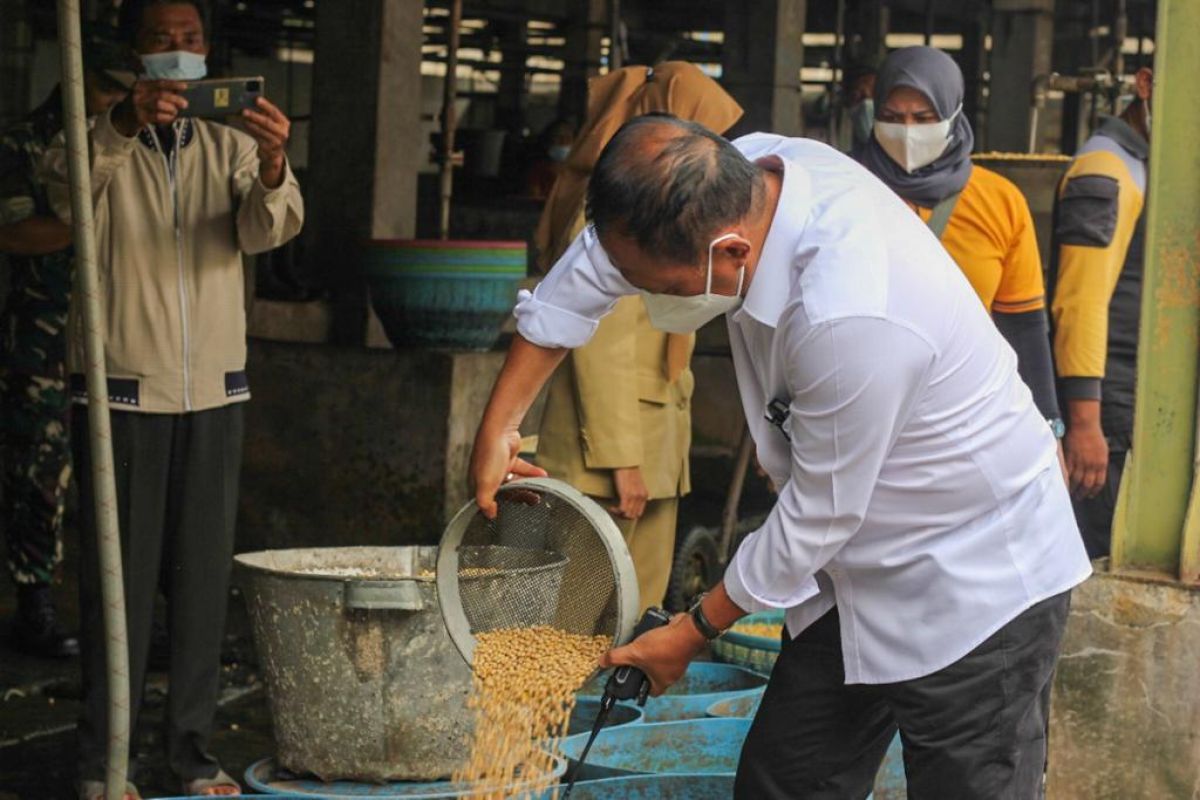 Sikap Wawali Armuji terkait kelangkaan tempe dan tahu di Kota Surabaya