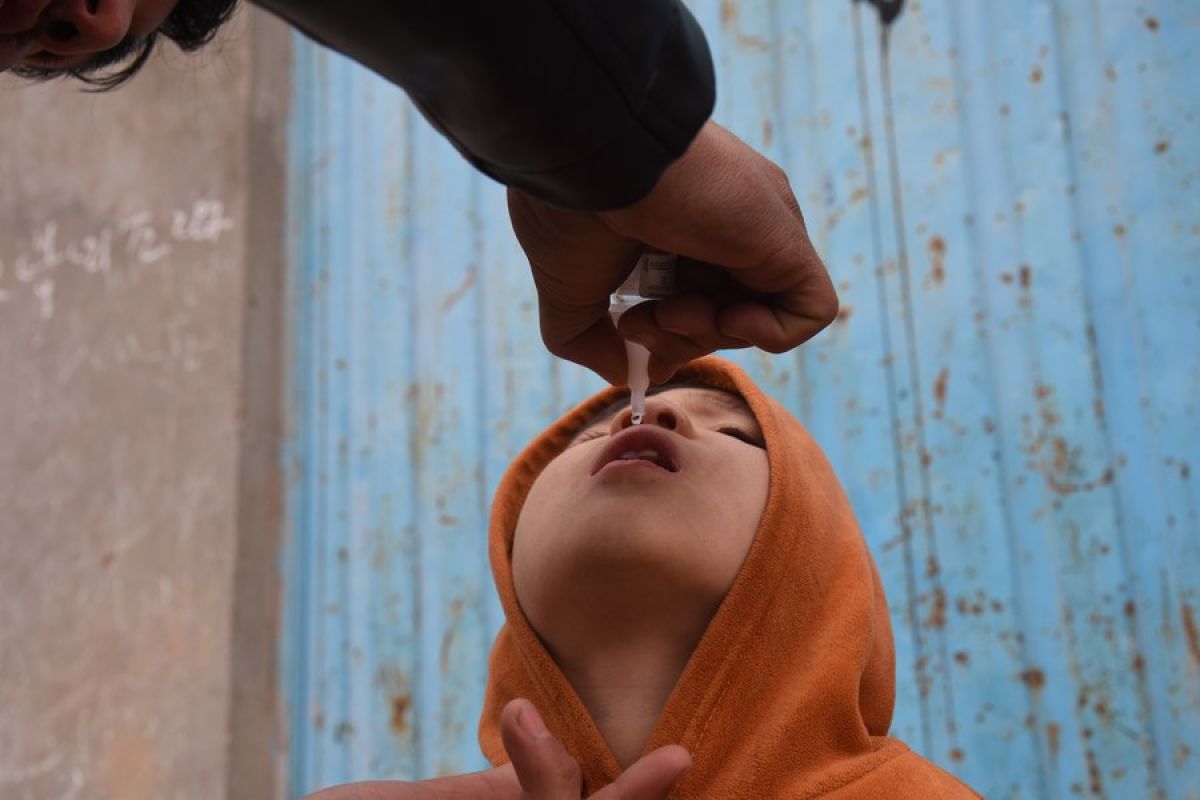 Afghanistan kampanye vaksinasi polio, targetkan 9,1 juta anak