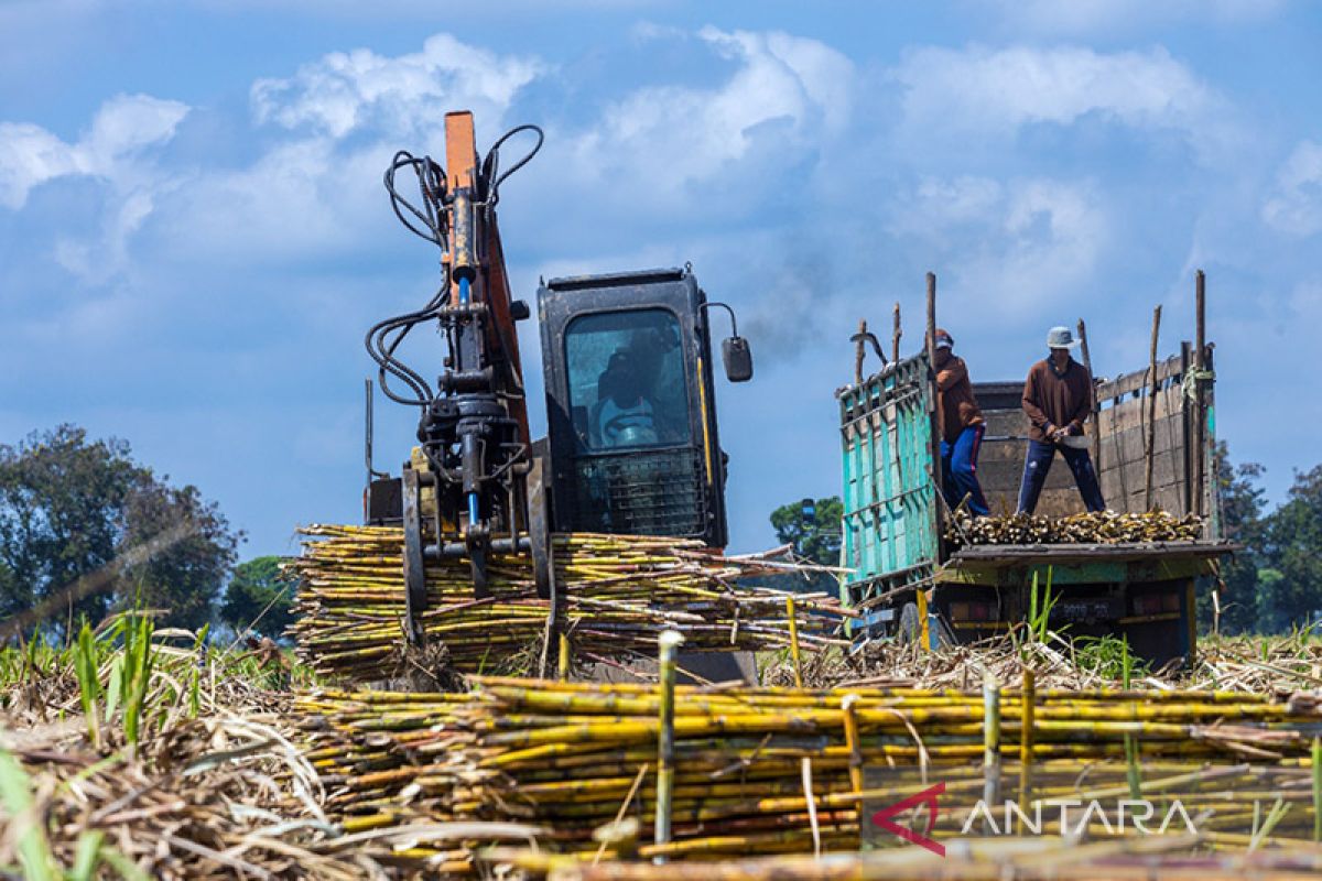 PTPN X bentuk klaster PG kejar target giling tebu 4,2 juta ton