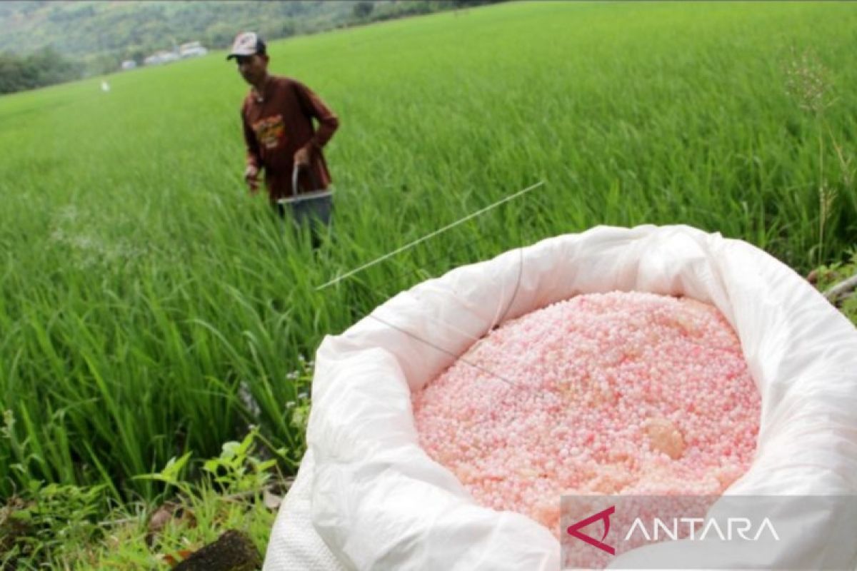 Dinas TPHP Sulsel jamin stok pupuk bersubsidi aman pada 2022
