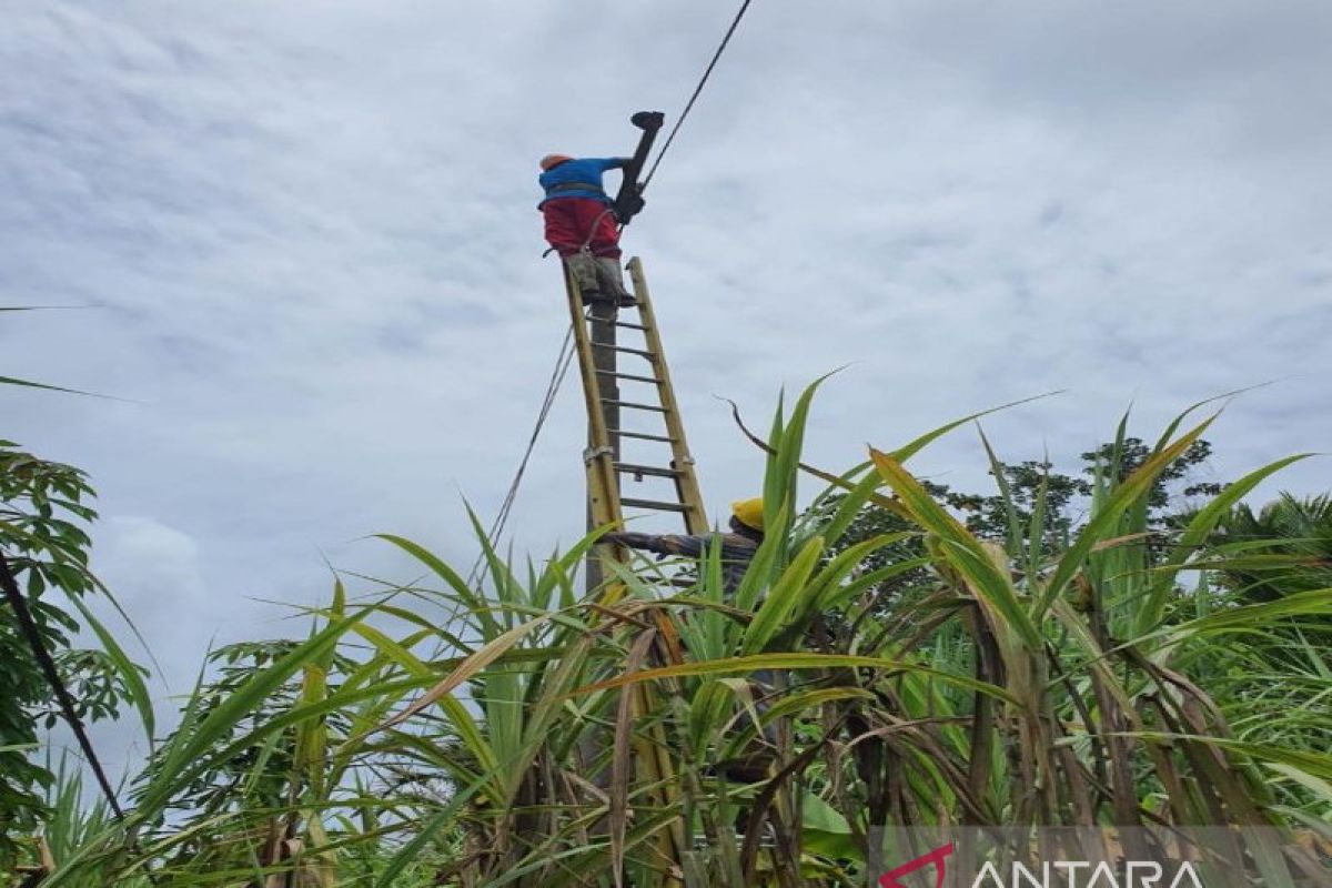 59 gardu listrik terdampak cuaca ekstrim di Jayapura