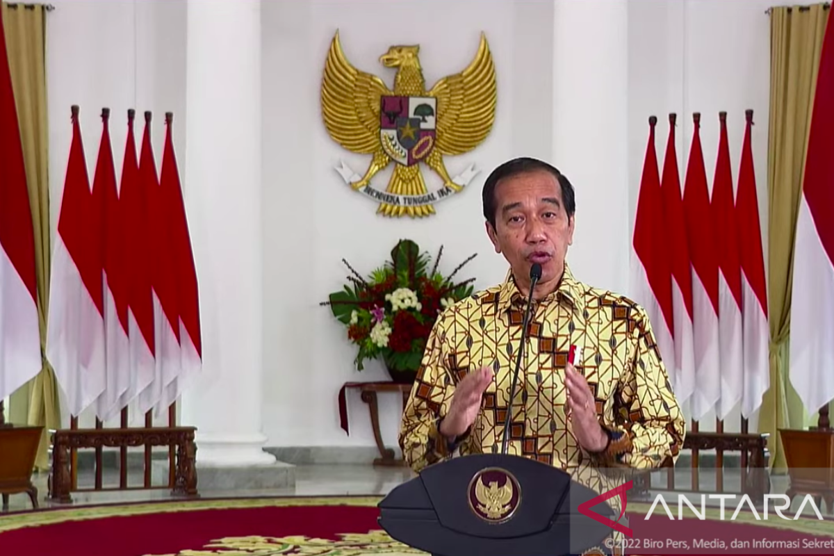 Infrastructure development should not increase disaster risk: Jokowi