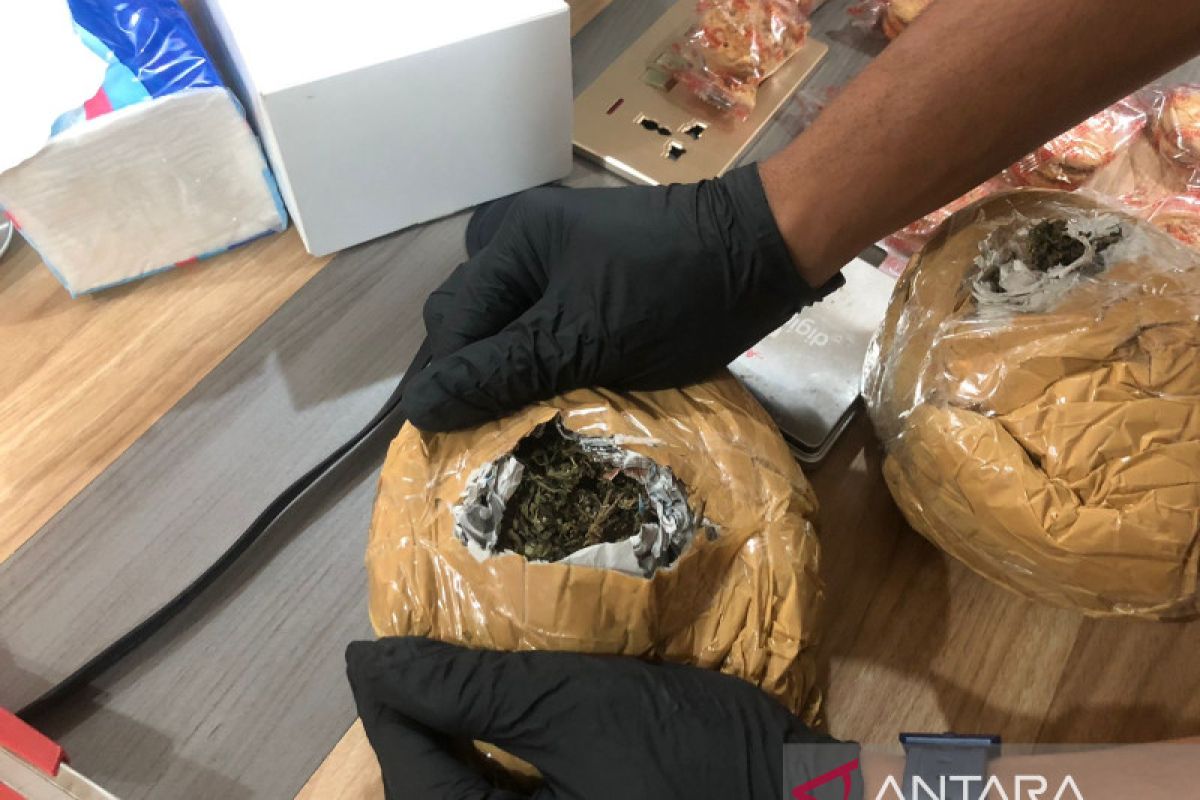 6,6 kilogram ganja dari PNG digagalkan masuk Manokwari