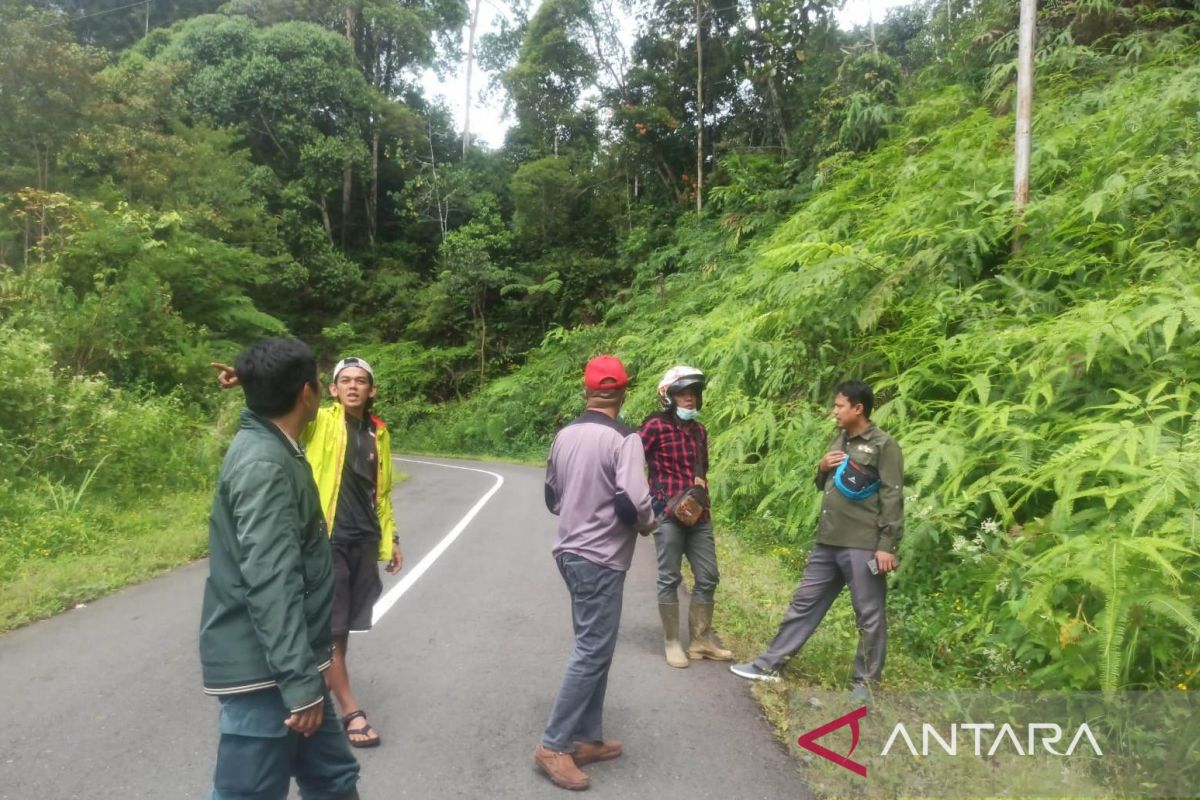 BKSDA selidiki penampakan harimau sumatera di Lebong