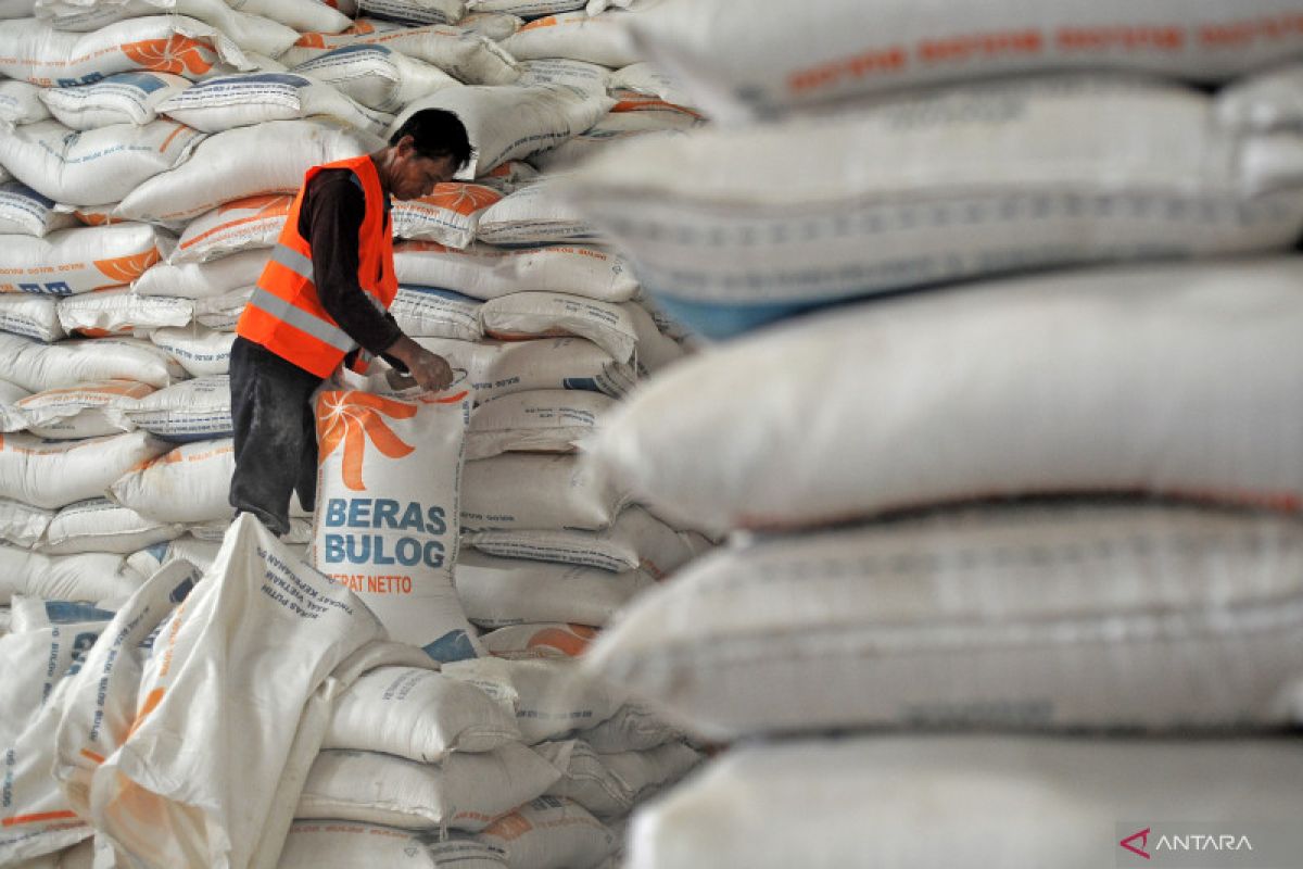 Kemarin, Wapres pastikan stok beras aman dan ekonomi tetap tumbuh