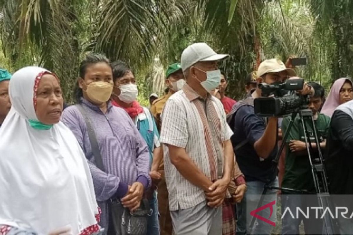 Video - Pansus DPRD Riau kantongi bukti tumpang tindih izin lahan masyarakat vs PT Wanasari