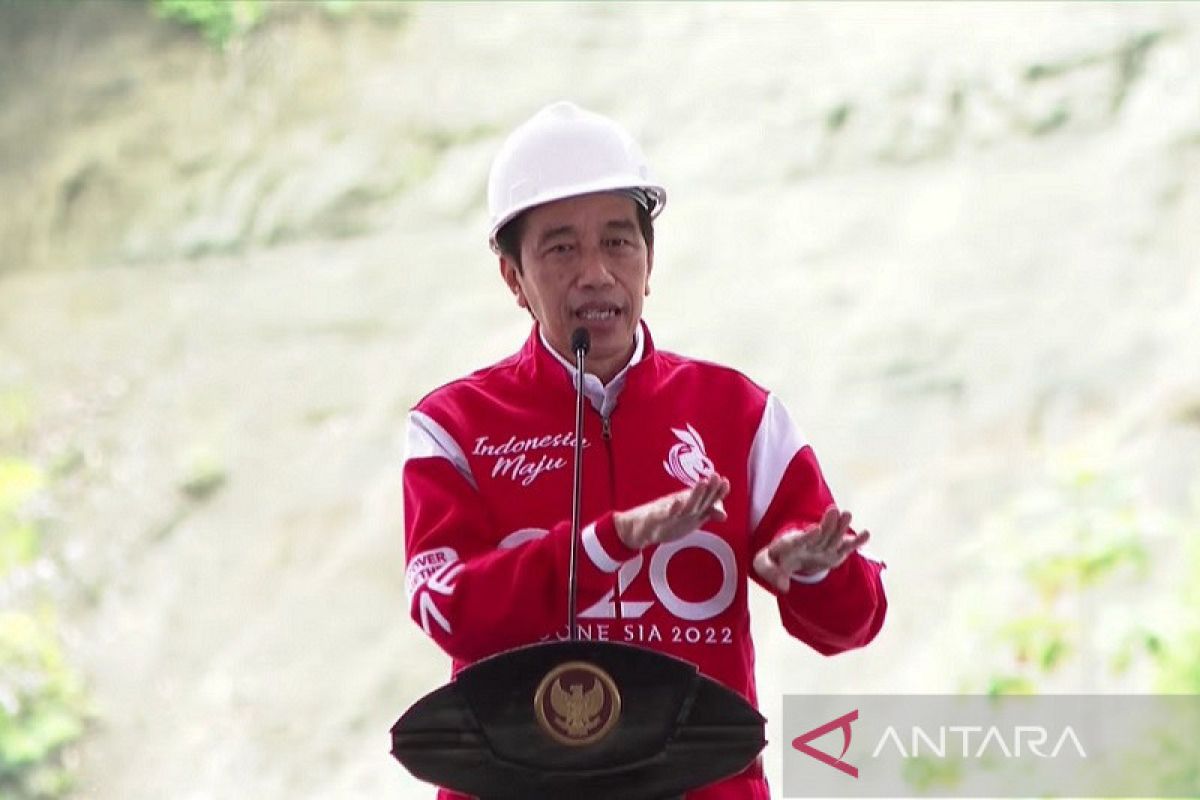 Jokowi sentil birokrasi PLN saat resmikan dua PLTA di Sulawesi