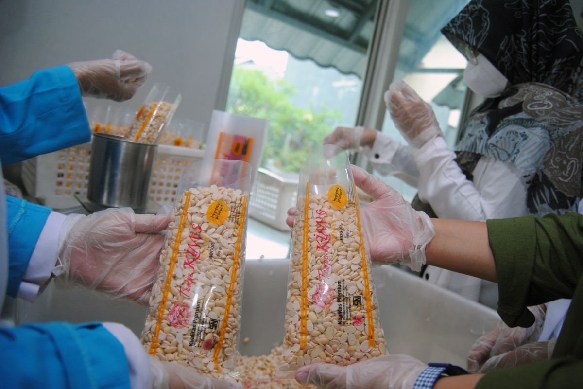 Indonesian tempeh taps Latin American market via Chile agreement