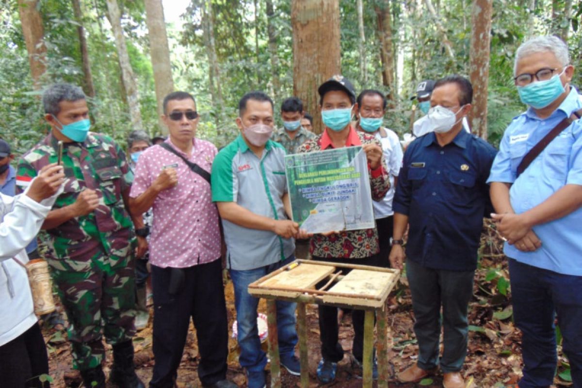 Petani sawit-swasta deklarasi perlindungan hutan stok karbon tinggi