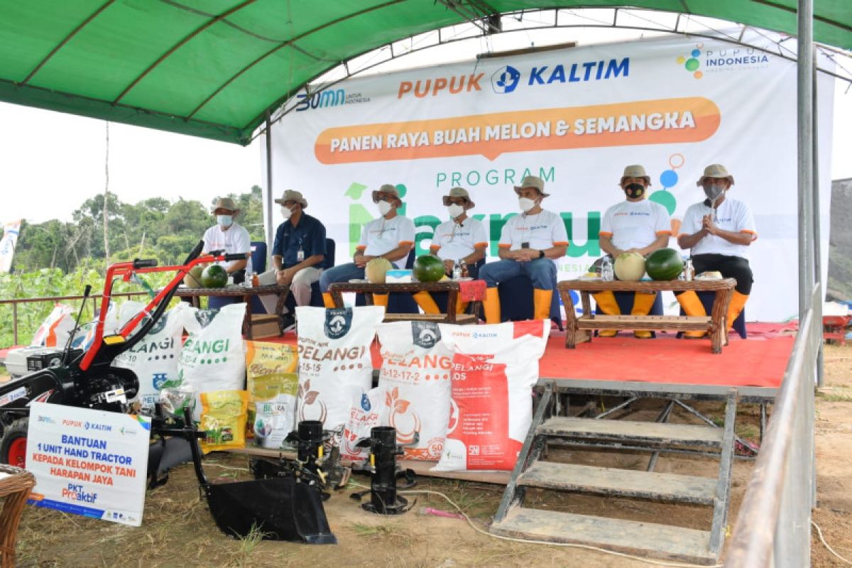 Dukung ketahanan pangan, berikut upaya Pupuk Kaltim tingkatkan produktivitas petani